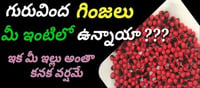 దుష్టశక్తుల్ని దగ్గరకురానివ్వని గురువింద గింజలు..!!